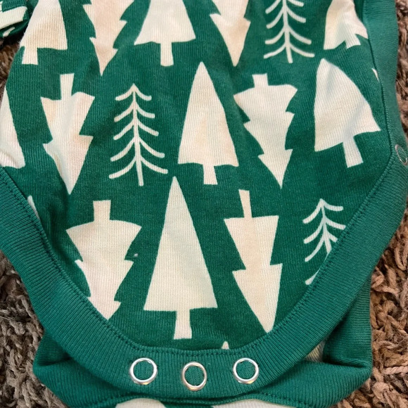 NWOT Hanna Andersson Baby Print Side Snap Bodysuit winter green size 0-3 months - Picture 4 of 5